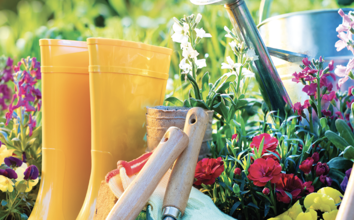 Garden Shops Near Denver CO